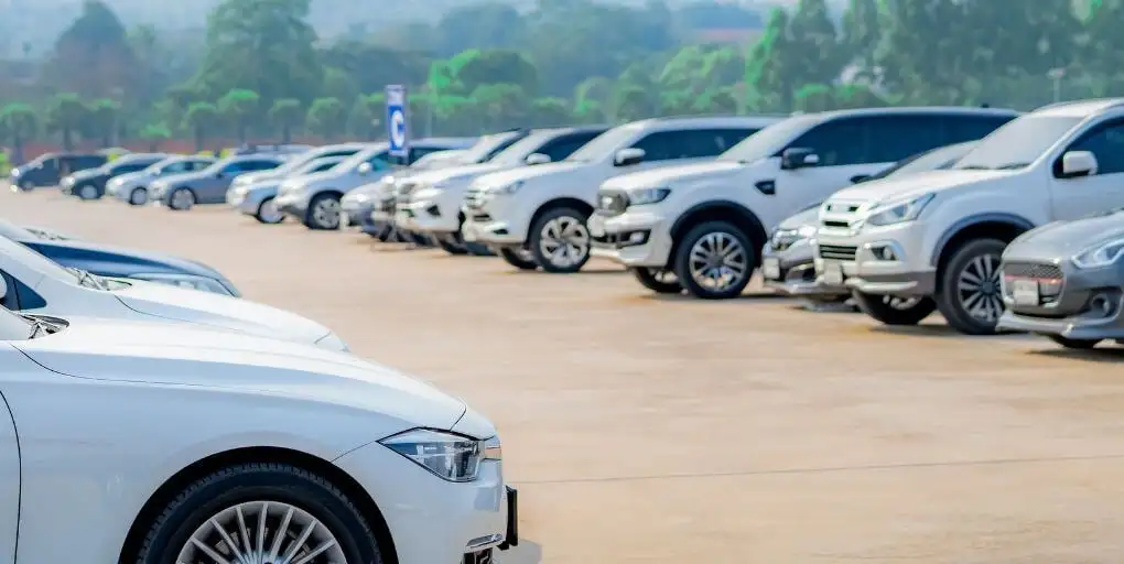 Khám Phá Chuyến Đi Thu Hút Từ Sân Bay Liên Khương Đến Đà Lạt